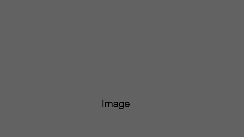 feature Image