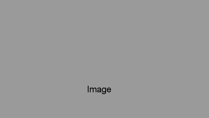 feature Image