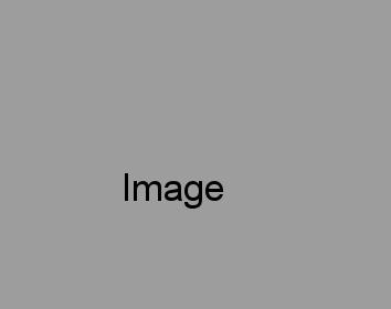 Food Image