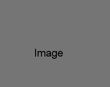 Food Image