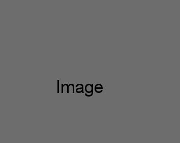 Food Image