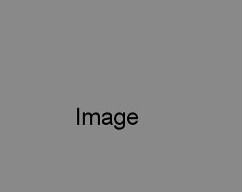 Food Image
