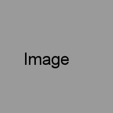 Food Image