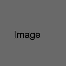 Food Image
