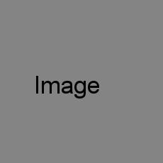 Food Image